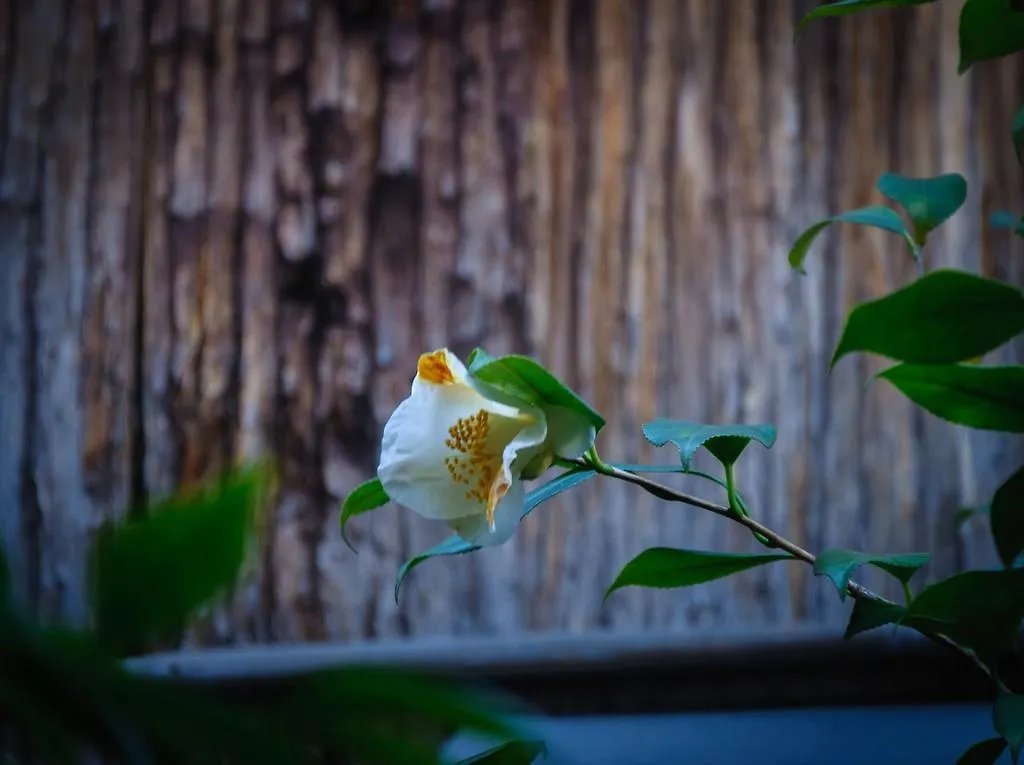 Holiday home Kumomachiya Gionhanami Kyoto
